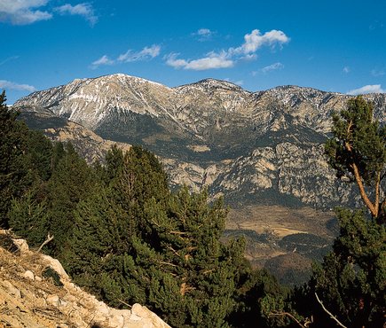 Serra del Verd