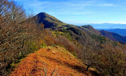 Coma Negra (Garrotxa)