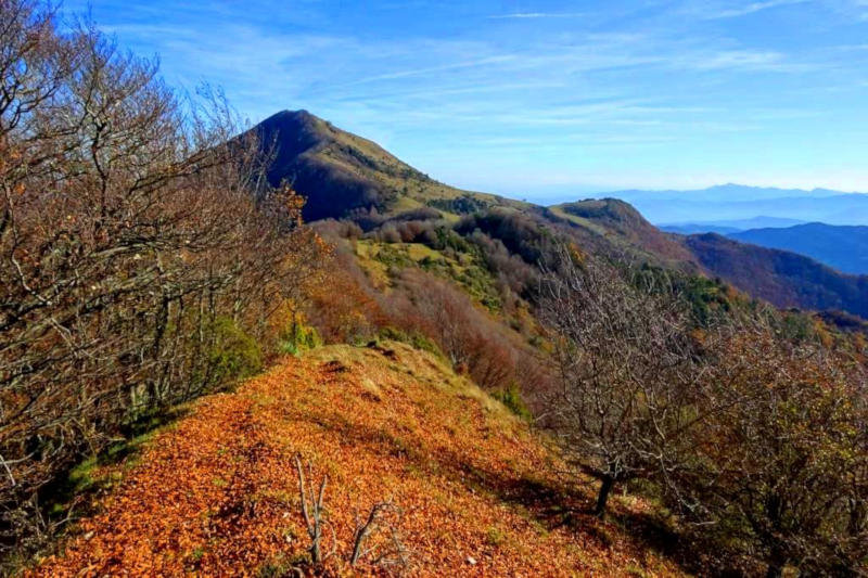 Coma Negra (Garrotxa)