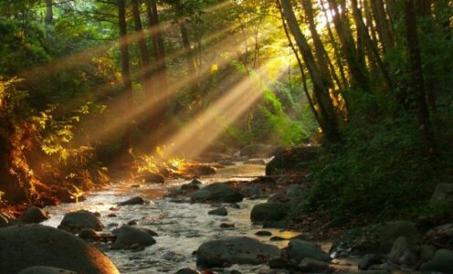 Tardor al Montseny (Senderisme)