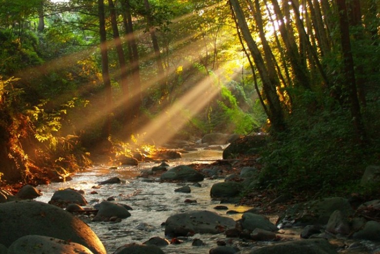 Tardor al Montseny (Senderisme)