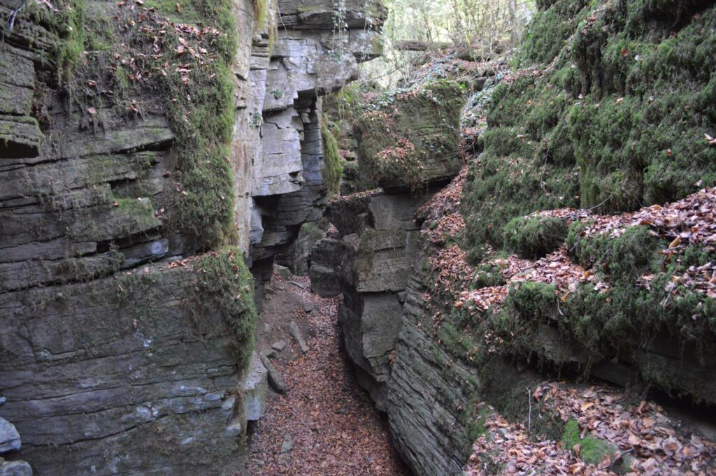 Escletxes de la Freixeneda