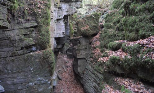 Escletxes de la Freixeneda