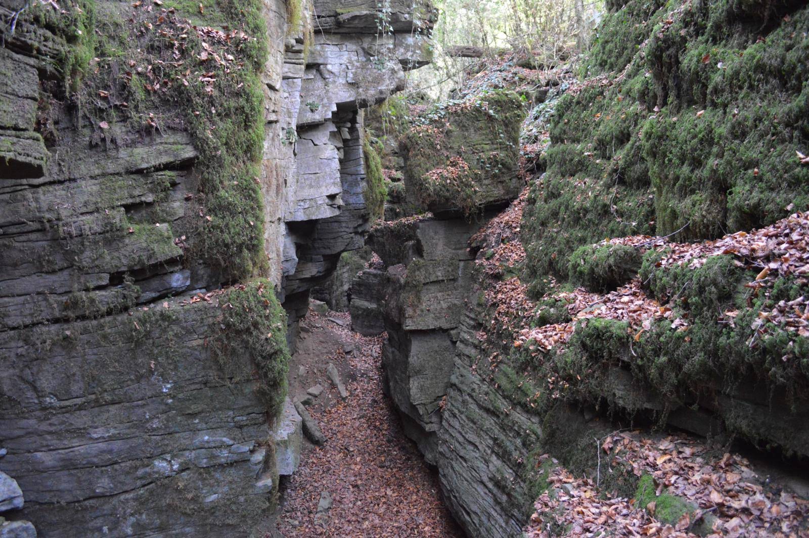 Escletxes de la Freixeneda