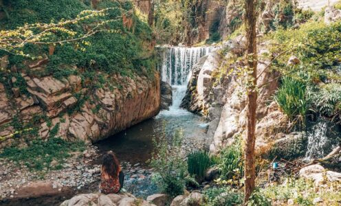 Arbúcies . Sortida en autocar – Secció màsters