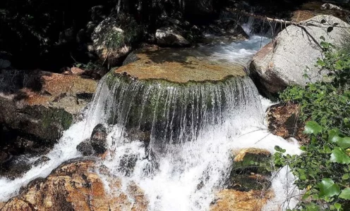 Ruta dels Carboners (Setcases)