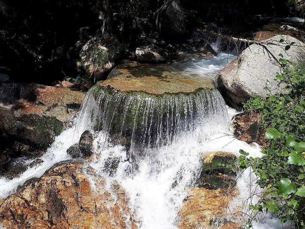 Ruta dels Carboners (Setcases)