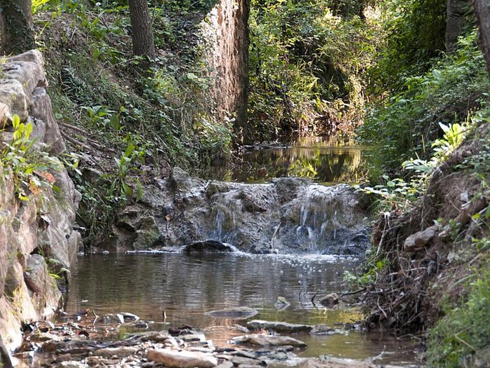 Entorns de Solsona - Senderisme - Secció màsters