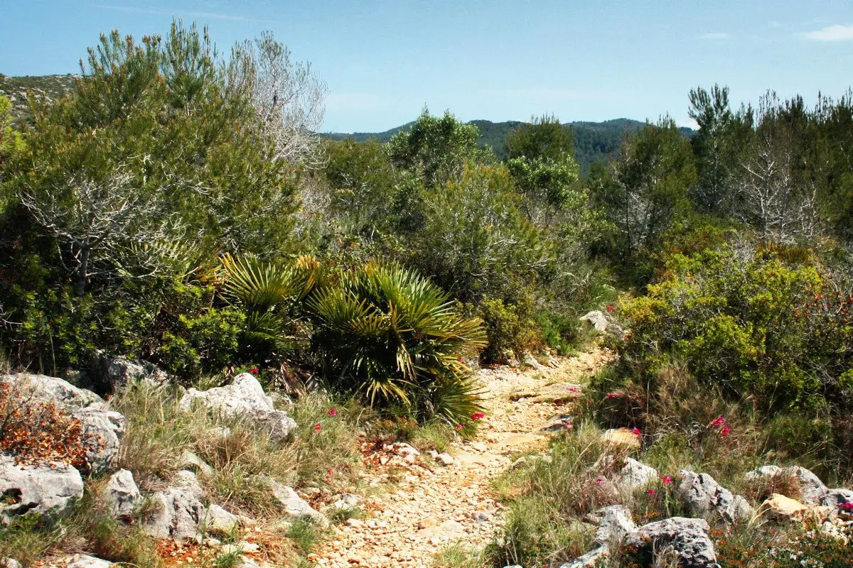 Sortida de proximitat  (Km 0) – Senderisme
